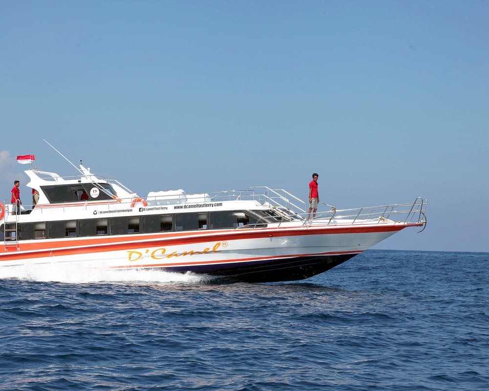 D'Camel Fast Ferry 3